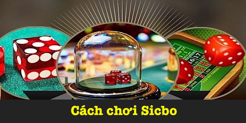 Chú ý lắng nghe tiếng xúc xắc