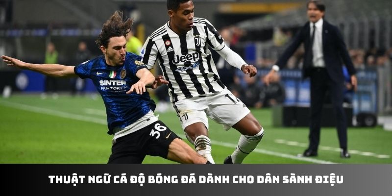 thuật ngữ cá độ bóng đá