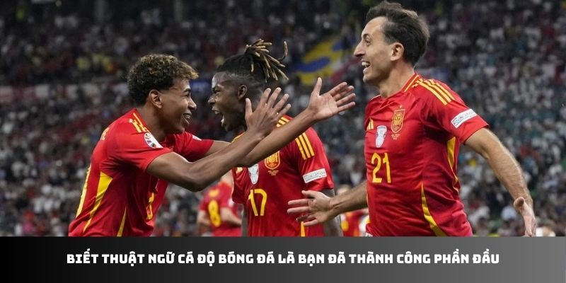 Biết thuật ngữ cá độ bóng đá là bạn đã thành công phần đầu
