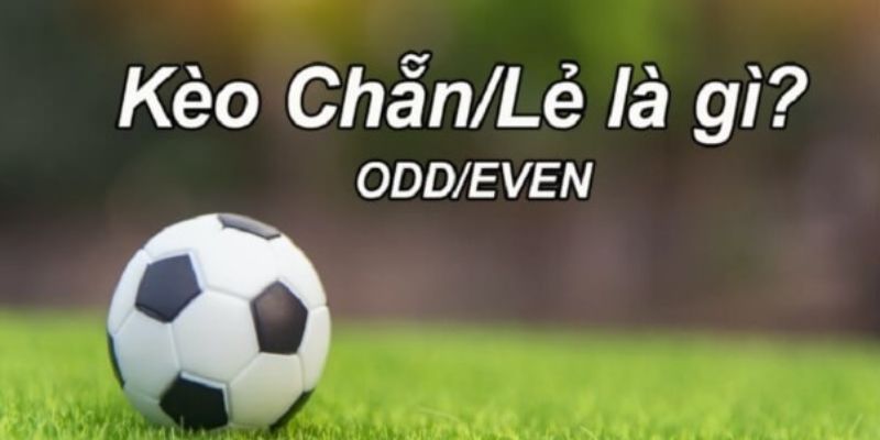 Thông tin về kèo chẵn lẻ khi cá độ bóng đá